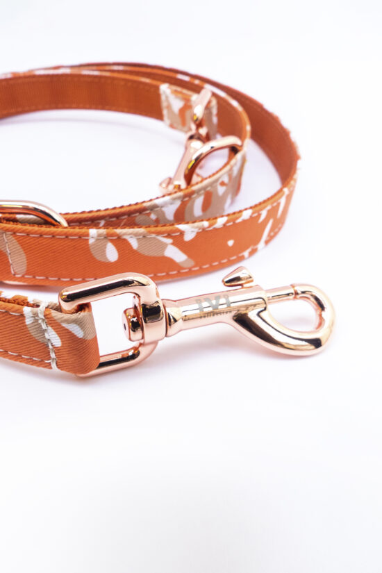 CORAL Leash