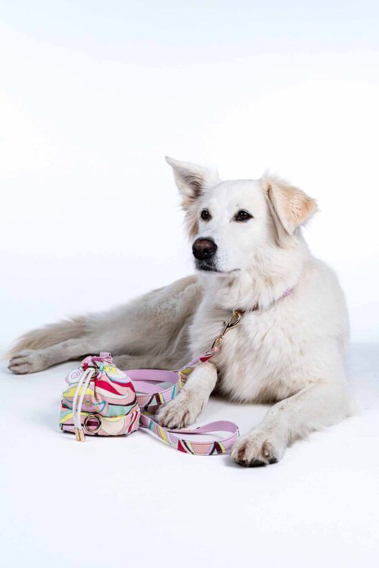 LEMON SPLASH Collar
