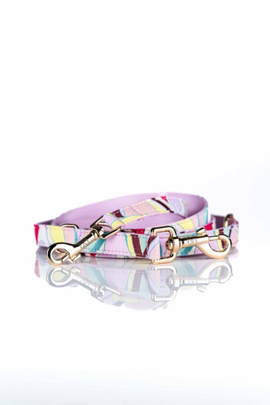 LEMON SPLASH Leash