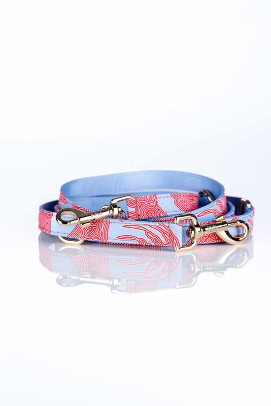 SEA Leash
